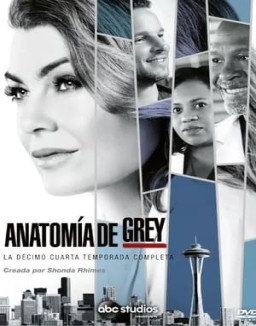 Anatomía de Grey