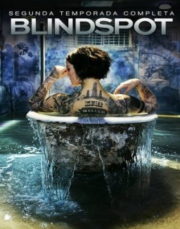 Blindspot