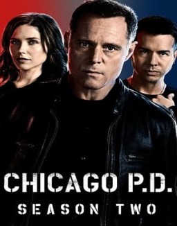 Chicago P.D. saison 2