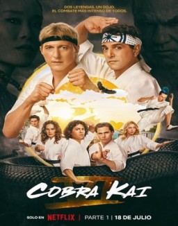 Cobra Kai saison 6