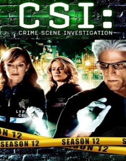 CSI: Las Vegas saison 12