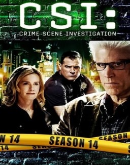 CSI: Las Vegas saison 14