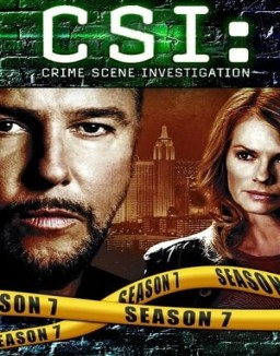 CSI: Las Vegas saison 7