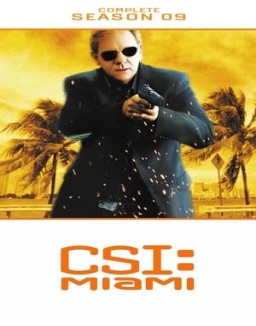 CSI: Miami saison 9