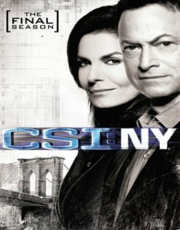 CSI: Nueva York saison 9