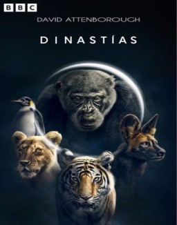 Dinastías