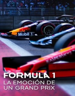 Fórmula 1: La emoción de un Grand Prix