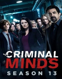 Mentes criminales saison 13